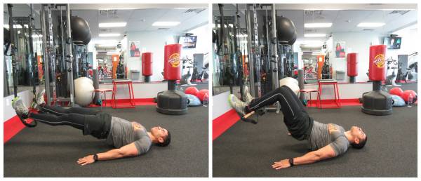 Hamstring Curl Hamstring Curl